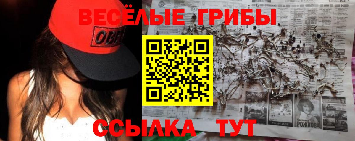 Псилоцибиновые грибы Cubensis  Псилоцибиновые грибы мухоморы  Чита  купить наркотики цена  Вход с VPN 